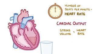 Stroke Volume, Ejection Fraction and Cardiac Output