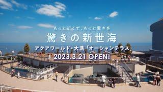 【公式】アクアワールド・大洗　 屋外エリア 「オーシャンテラス」2023年3月21日にリニューアルオープン！