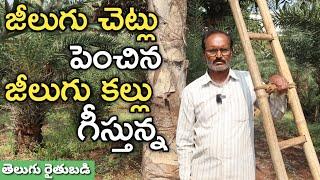 జీలుగు తోట పెంచిన.. జీలుగు కల్లు తీస్తున్న | రైతు బడి