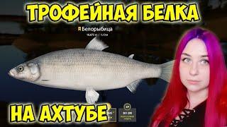 Трофейная БЕЛКА  Белорыбица на р. Ахтуба  Russian Fishing 4 Русская рыбалка 4 RF4 РР4