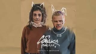 Rozalia & Джарахов — Собака писал (МиНуС)