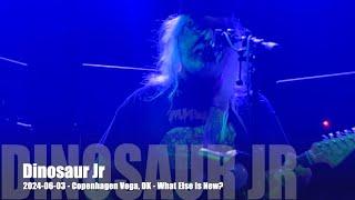 Dinosaur Jr - What Else is New? - 2024-06-03 - Copenhagen Vega, DK