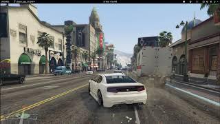 Install GTA V sur Linux