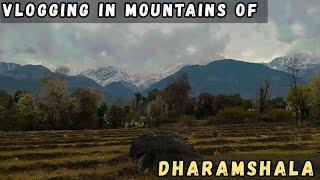 BUSY MONDAY VLOG IN MOUNTAINS OF DHARAMSHALA HIMACHAL PRADESH | MOUNTAIN VLOGS