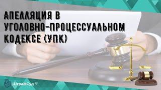 Апелляция в уголовно-процессуальном кодексе (УПК)