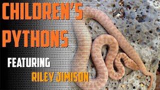 Episode 75 - Children's Pythons with Riley Jimison!