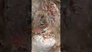 Live Makkah Close up view Hajr-e-Aswad |Heaven Rock|️ #makkah #live #shorts #ytshorts  #viral