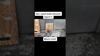 Twins Rapid mold removal Agent #shorts