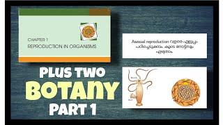 Plus two Botany - Chapter 1: Reproduction in organisms (Part 1)