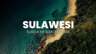 Surga Hewan Endemik: Sulawesi