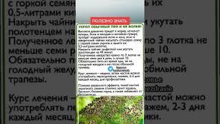 укроп обычный пей и не болей полезно знать #народнаямедицина #здоровьеидолголетие #укроп