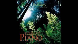 Forest Piano - Dan Gibson & John Herberman