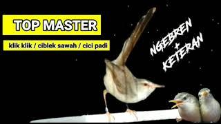 Master Klik klik / ciblek sawah  (1 JAM FULL NGEBREN + KETERAN ) Bebas Iklan