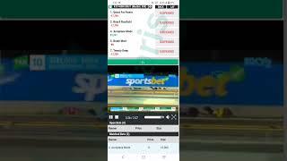 How To Win In A Grayhound Race Betpro Exchange Online Betting