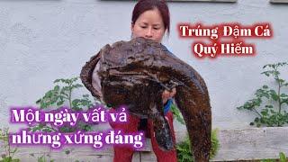 [250] Một Ngày Vất Vả Của Anh Minh/Nhưng Xứng Đáng Vì Trúng Đậm Cá Siêu Khủng.