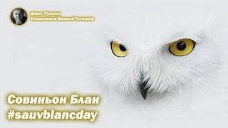 Совиньон Блан - 1 мая #sauvblancday