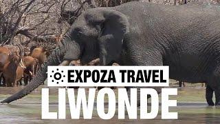 Liwonde National Park (Malawi) Vacation Travel Video Guide