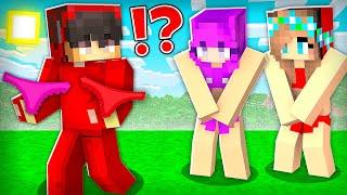 CRAZY Cash vs Fan ZOEY and GIRL - Funny Story in Minecraft