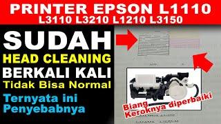 Penyebab Printer Epson L3110 L1110 L3210 L1210 L3150 Sering Putus Putus Hasil Printnya