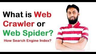 Web Crawler or Web Spider and how does They Work? The Skill Sets