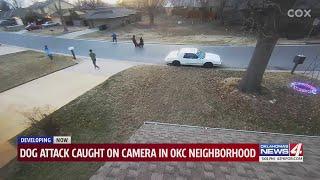 Vicious dog attack on group of teens in NW Oklahoma City caught on camera