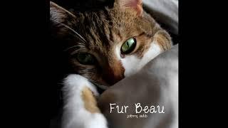 Meadow // Fur Beau (Music for Cat Anixety & Stress) // Johnny Salib