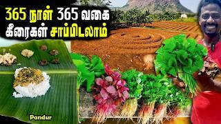 20 ரூபாய் முதல் நஞ்சில்லா கீரைகள் தரும் சென்னையின் கீரை மனிதர் | Pesticide Free greens | MSF