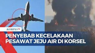 Detik-Detik Pesawat Jeju Air Kecelakaan di Korea Selatan, Damkar Ungkap Dugaan Penyebab