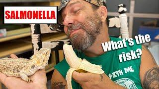 Reptile Keeper's Experience With (Or actually WITHOUT) Salmonella