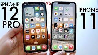 iPhone 12 Pro Vs iPhone 11 In 2024! (Comparison) (Review)