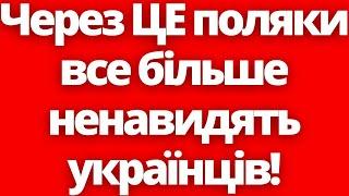 Терміново! Через ЦЕ поляки все більше ненавидять українців!