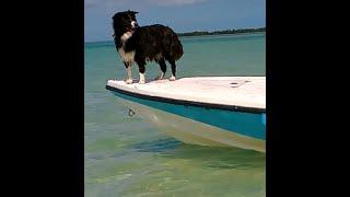 Best boats for the Florida Keys Part 2 (flats boat)