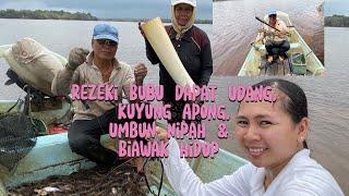 Hasil Bubu Ayak Apai Cikuk Dapat Biawak &Udang Kuyung Serta  Umbun Apong Nipah/Rezeki Nelayan Passin