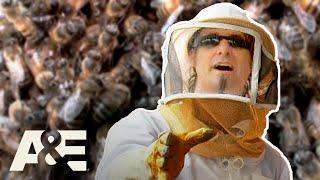 Billy’s Biggest BEE Battles! | Billy the Exterminator | A&E