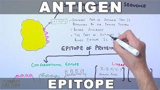 Antigen