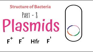 Structure of Bacteria | Part 8 | Plasmid