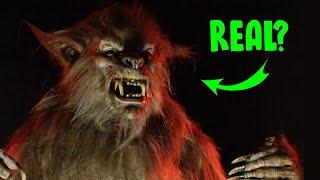 Werewolf Transformation In Real Life!  - Midnight Studios FX Lucian Costume