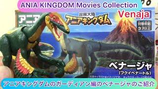 @arichin アニアキングダムのガーディアン編のベナージャのご紹介 ANIA KINGDOM Venaja Unboxing #ania #dinosaur