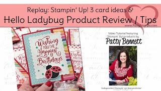 Product Review / Tips / 3 Card Ideas for Hello Ladybug