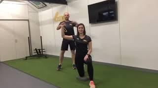 The Throwing Athlete - Reactive shoulder Perturbations