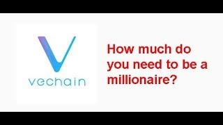 VeChain Millionaire next bullrun? How much Vechain do you need?