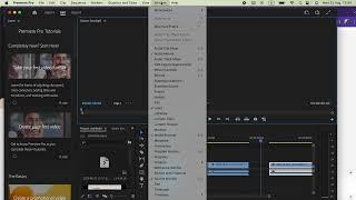 Adobe Premiere Pro editing preview layout in the workspace is not showing! What we can do?