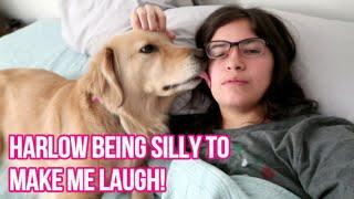  Service Dog’s FUNNY QUIRKS: Cheering Me Up on a HARD DAY  (4/9/19)