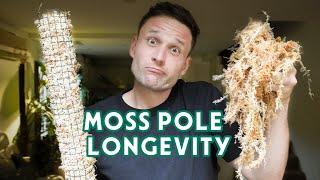 HOW LONG DOES A MOSS POLE LAST ? - let's talk long-term use of a Moss Pole