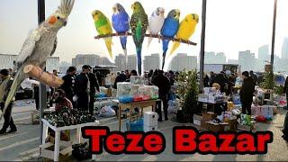 Teze Bazar #tezebazar #elixezer #tutuquşular #karella