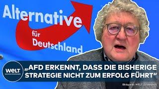 AFD: Separation from “Junge Alternative”! Patzelt explains possible change of strategy