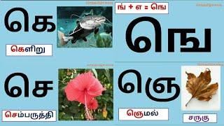 தமிழ்|உயிர் மெய் எழுத்துக்கள்|கெ ஙெ வரிசை/செந்தமிழ்ச்சுவடி