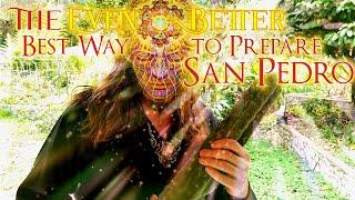 How to Prepare San Pedro: Best, Fastest, and Easiest Method