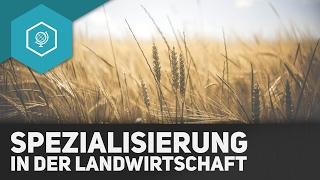 Spezialisierung in der Landwirtschaft - Landwirtschaft in Industrieländern 8