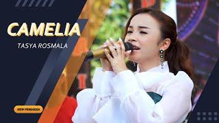 CAMELIA - TASYA ROSMALA "NEW PRIMAEGA" || LIVE.PESURUNGAN KIDUL - TEGAL BARAT - KAB.TEGAL